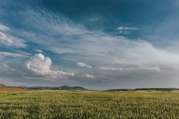Πράσινη Αγρόκτημα Μπλε Ουρανό Και Whispy Σύννεφα Στο Idaho — Φωτογραφία Αρχείου