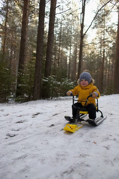 Chlapec Sněžném Skútru Lese — Stock fotografie