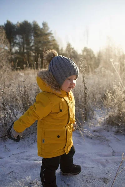 Хлопчик Гуляє Парку Зимовий Ранок Стокове Зображення