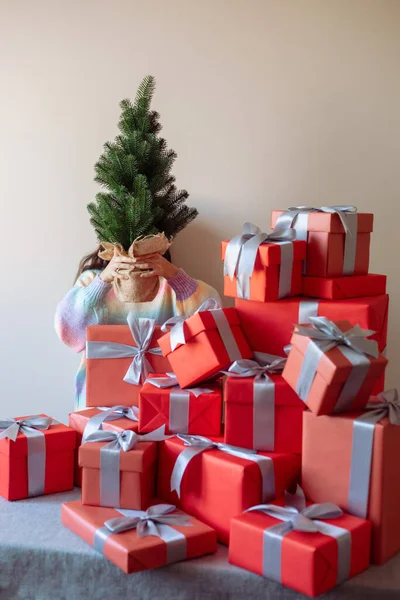 Niña Sostiene Pequeño Árbol Navidad Sus Manos Esconde Detrás Una — Foto de Stock