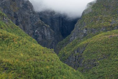 Gorsabura, Troms ve Finnmark yakınlarındaki Kfjorddalen vadisinden puslu sonbahar manzarası, Norveç 