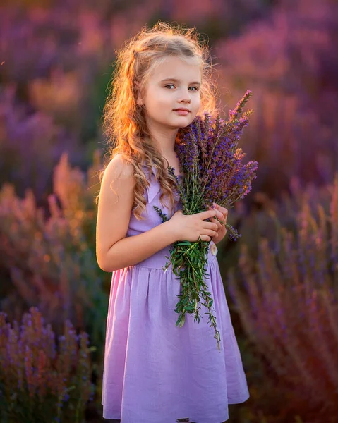 Dziewczyna Gospodarstwa Kwiaty Lawendy Jej Rękach — Zdjęcie stockowe
