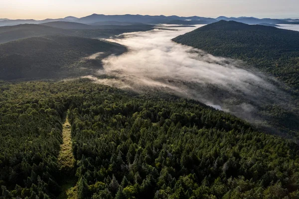 Caminho Fronteiriço Internacional Florestado Entre Eua Canadá — Fotografia de Stock