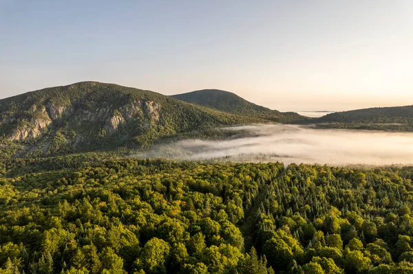 Mount Marbre Überragt Neblige Wälder Entlang Der Grenze Kanada Quebec — Stockfoto