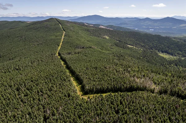 Fronteira Internacional Segue Ridgeline Florestal Entre Eua Canadá — Fotografia de Stock