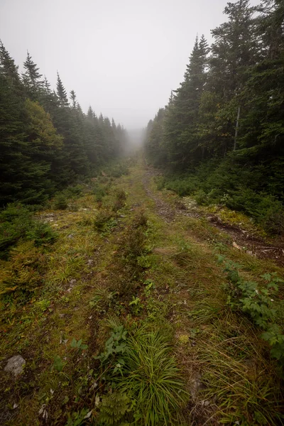 Usa Kanada Grenzweg Nebel Maine Und Quebec — Stockfoto