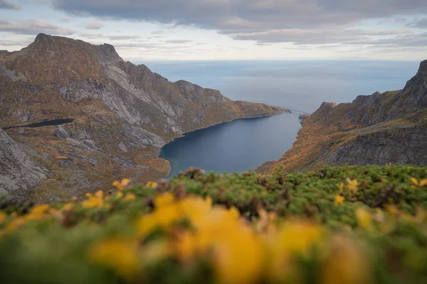 Jesienny Widok Djupfjord Moskenesy Lofoten Norwegia — Zdjęcie stockowe