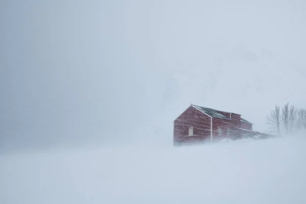 Kış Fırtınasında Kırmızı Ahır Flakstady Lofoten Adaları Norveç — Stok fotoğraf