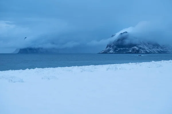 Primavera Nevasca Coberto Prado Costeiro Com Neve Flakstady Lofoten Islands — Fotografia de Stock