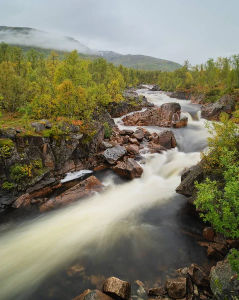 Svanelva川は 秋の白樺林を流れる Senja ノルウェー ロイヤリティフリーのストック写真