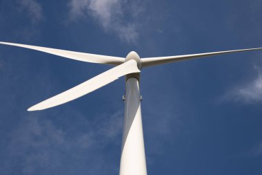 Danimarka, yüzde 50 Elektrik İçin Temiz, Yenilenebilir Yeşil Enerji Kullanıyor