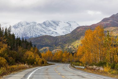 Valdez Kar Yeşilliği Kar Düşüşü