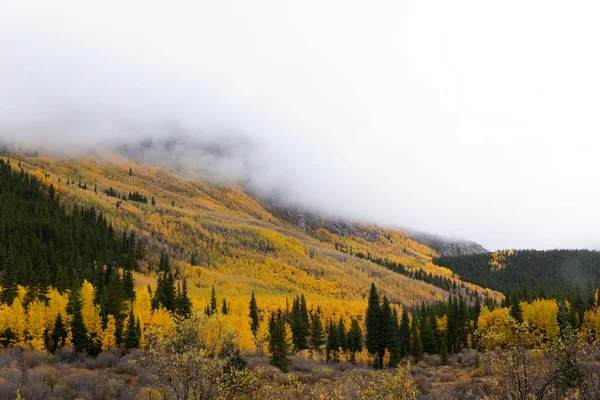 Mountain Peak Covered Clouds Yellow Aspens — Fotografia de Stock