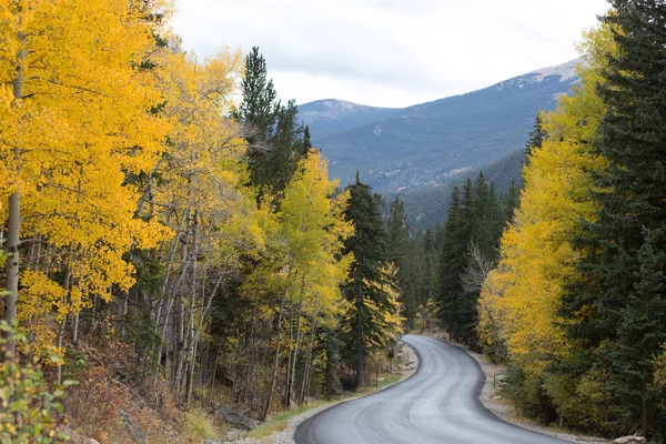 Winding Road Fall Colors — Stock Photo, Image