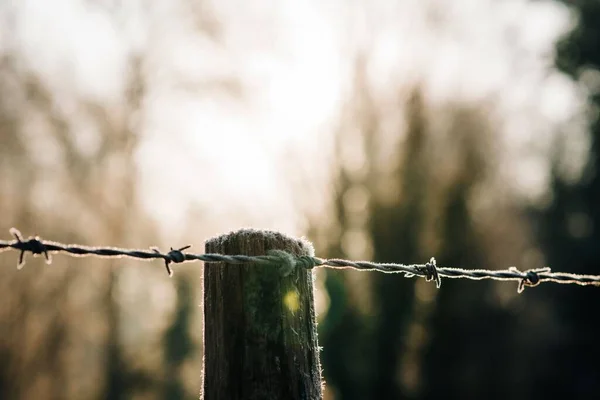 Frosty Barbed Wire Gate Post Sunrise — Fotografia de Stock
