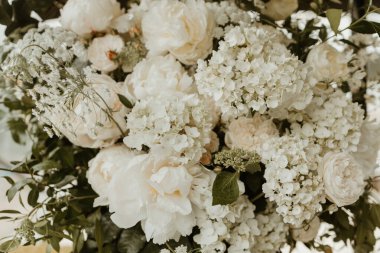 Cropped texture image of white flower leaves and plants