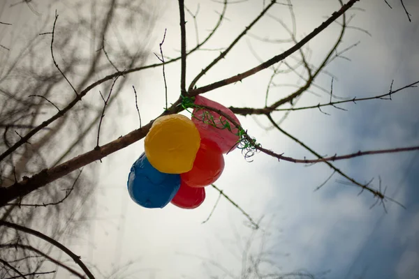 Μπαλόνια Στο Δέντρο Μπάλα Κόλλησε Στον Μπραντς Απομεινάρια Διακοπών — Φωτογραφία Αρχείου