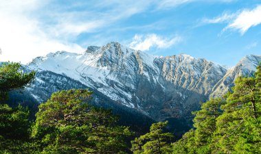 Karla kaplı kayalık dağların muhteşem manzarası kozalaklı ağaçların yanında kırsal alanda bulutlu mavi gökyüzüne karşı.