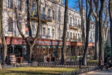 Odessa, Ukrayna 29.12.2022. Ukrayna, Odessa 'daki şehir bahçesinde güneşli bir kış günü