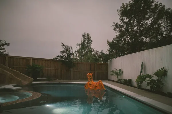 Tygří Bazén Vznáší Bazénu Zamračený Den Kalifornii — Stock fotografie