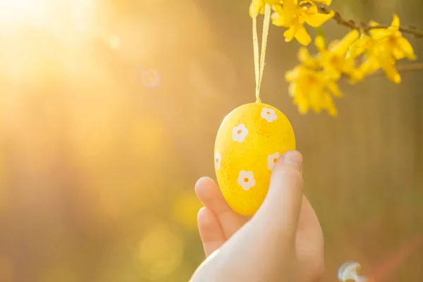 Yellow Decorative Eggs Blooming Yellow Branches — Stock Photo, Image