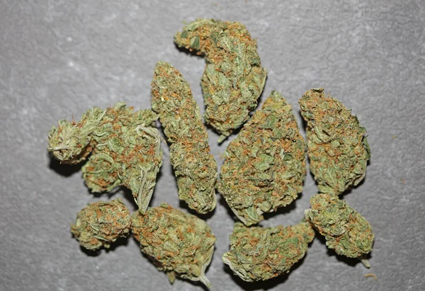 Medical Marihuana Buds Close Background Cannabis Sativa Super Lemon Haze — Fotografia de Stock