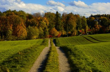 Autumn nature photo in Zurich