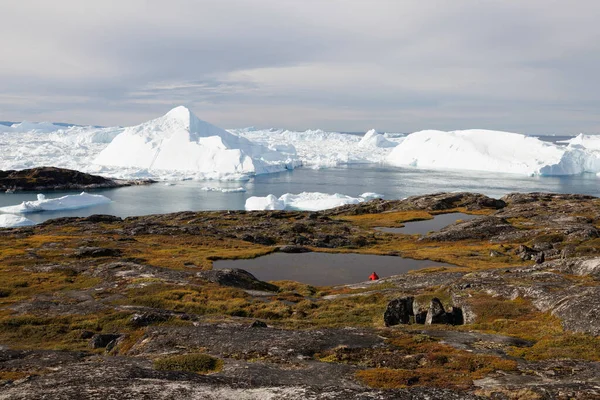 Man Observe Big Icebergs Floating Sea — Foto de Stock