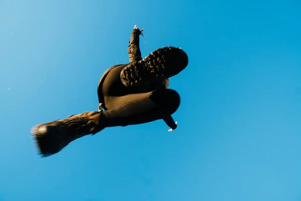 Fotografia Nadir Mulher Saltando Contra Céu Azul — Fotografia de Stock