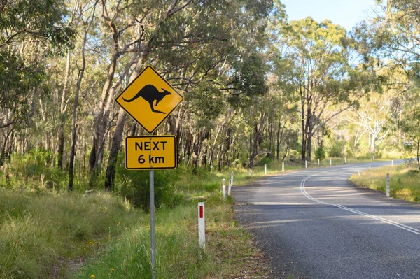 Kanguru Uyarı Işareti Avustralya — Stok fotoğraf