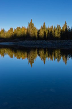 Spruce Tree Lake Reflection - Crested Butte Colorado clipart