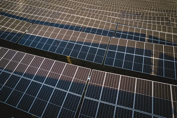 Hundreds Solar Panels Solar Farm Renewable Energy —  Fotos de Stock