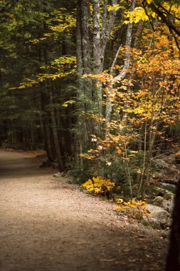 Fall Foliage along the Kancamagus Highway of New Hampshire