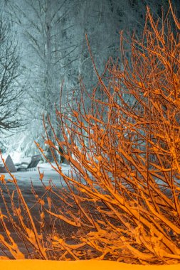 Winter night landscape - trees in the snow and shining street lights