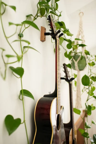 Close Up of Guitars on Wall with Indoor Plant in Macrame Plant Holder