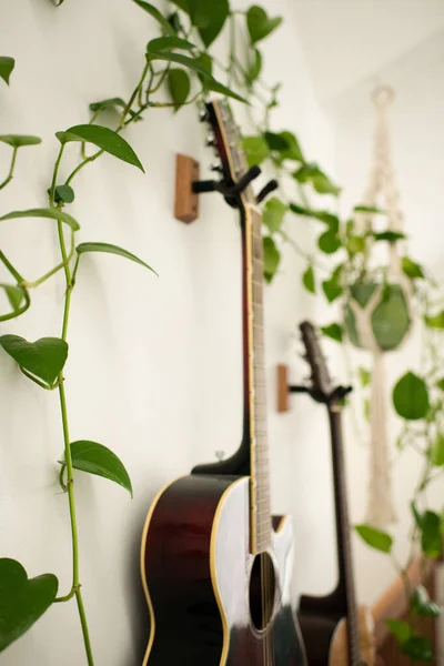 Close Up of Guitars on Wall with Plants in a Macrame Plant Holder