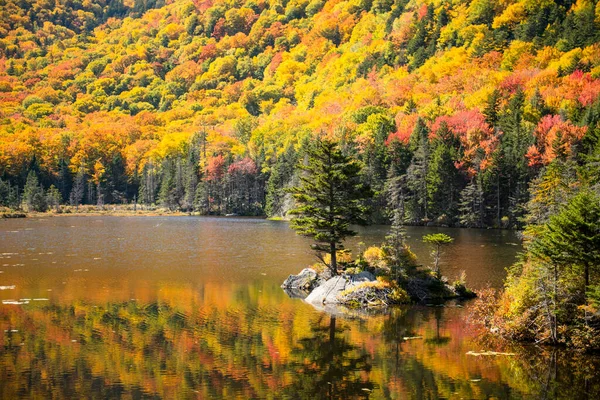 Fall Foliage Kancamagus Highway New Hampshire — Stock Photo, Image