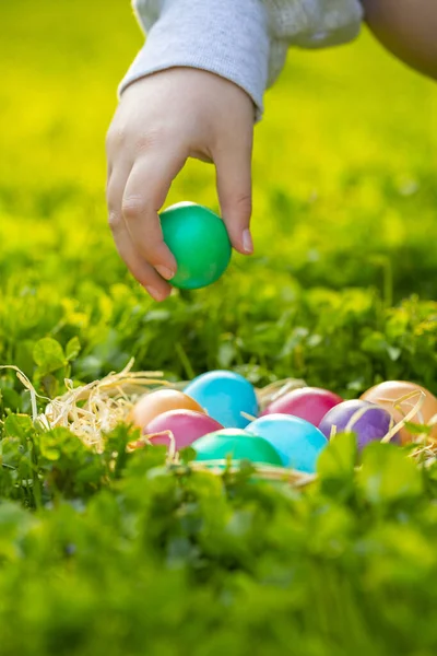 Easter Egg Hunt Child Collects Colored Eggs Green Grass — Fotografia de Stock