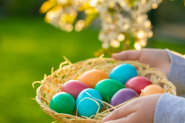 Easter Multicolored Eggs Wicker Bowl Spring Garden — Zdjęcie stockowe