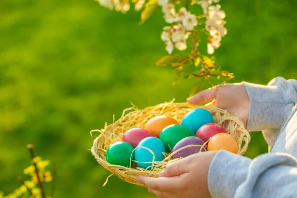 Easter Tradition Painted Eggs Wicker Bowl Easter Egg Hunt — Zdjęcie stockowe