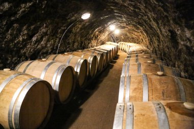 Traditional, old cellar in Hungary