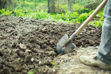 Shovel in ground. Garden tools. Digging ground.