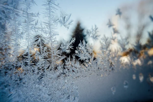 Frost Pattern on Window Pane in Winter Sunlight