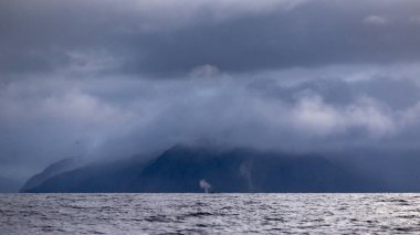 whale breath in the distance in a Norwegian fjord