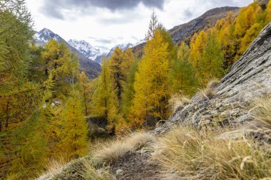 Swiss alpine landscape in autumn