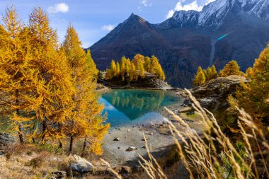 Blue alpine lake in autumn