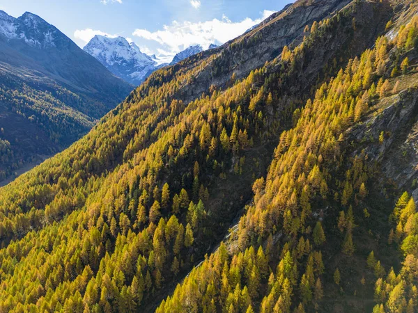 Swiss Alpine Landscape Showing Autumn Colors — Stock Photo, Image