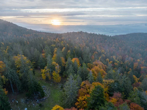 Aerial View Swiss Jura Forests Autumn — Fotografia de Stock