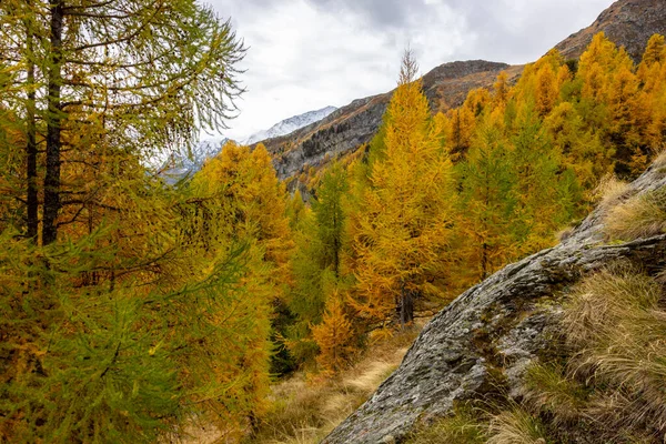 Swiss Alpine Landscape Autumn — Stock Photo, Image