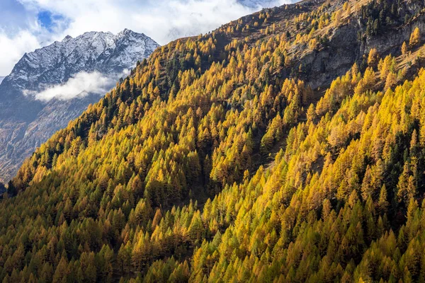 Swiss Alpine Landscape Autumn — Stock Photo, Image